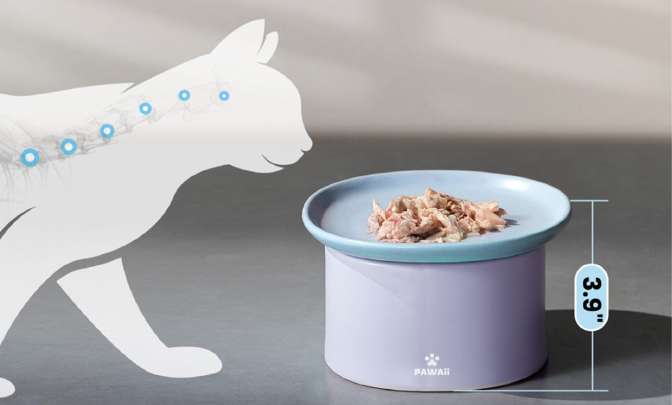 Should You Buy An Elevated Cat Bowl?