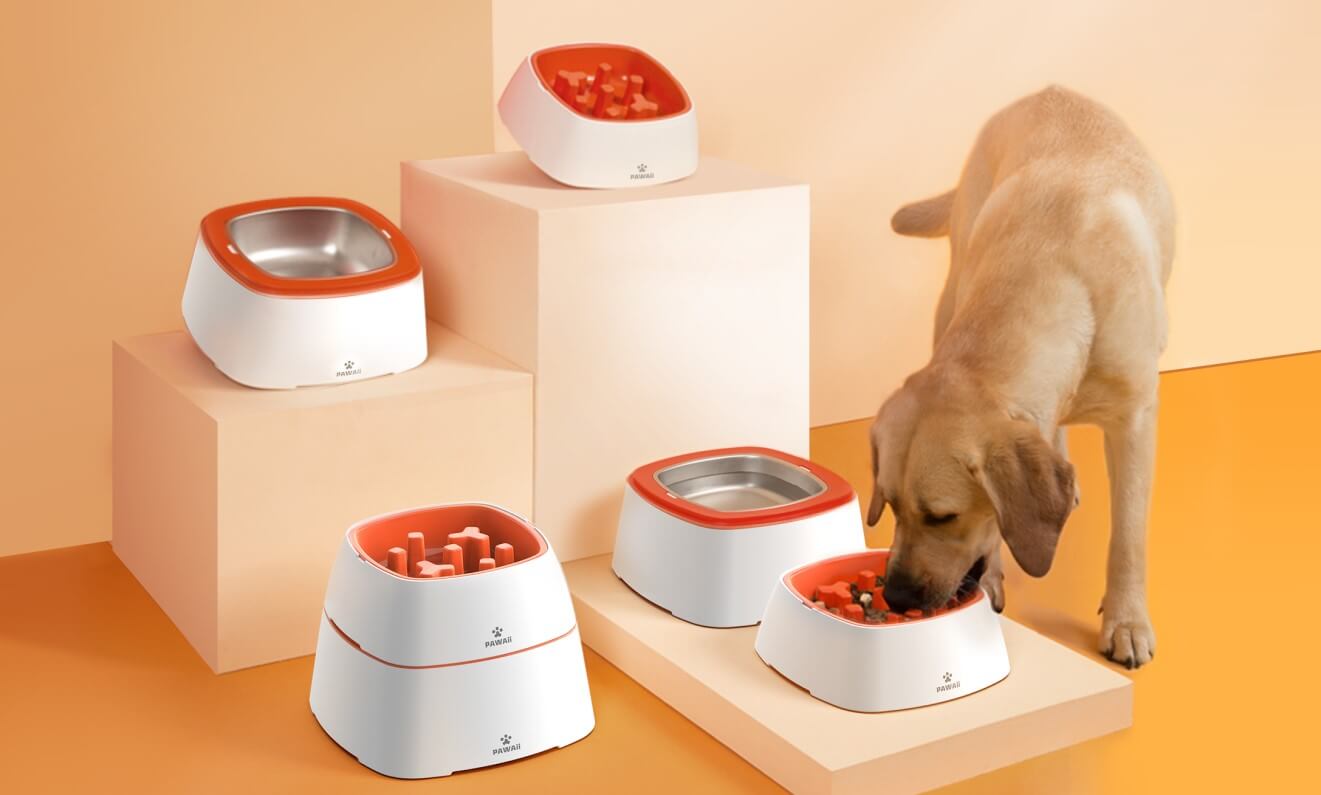 Does My Dog Need A Slow Feeder Bowl? - Canine Country