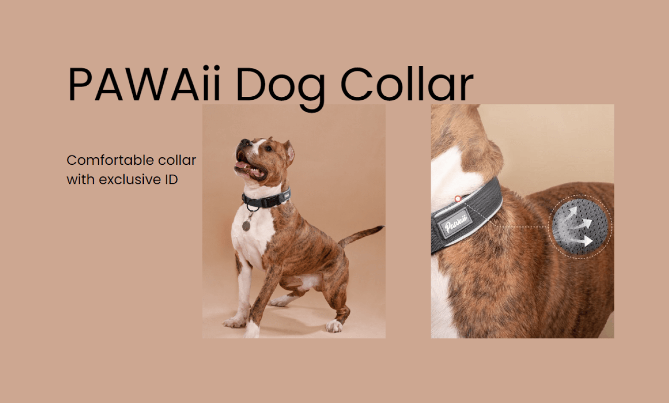 Introducing the PAWAii Dog Collar