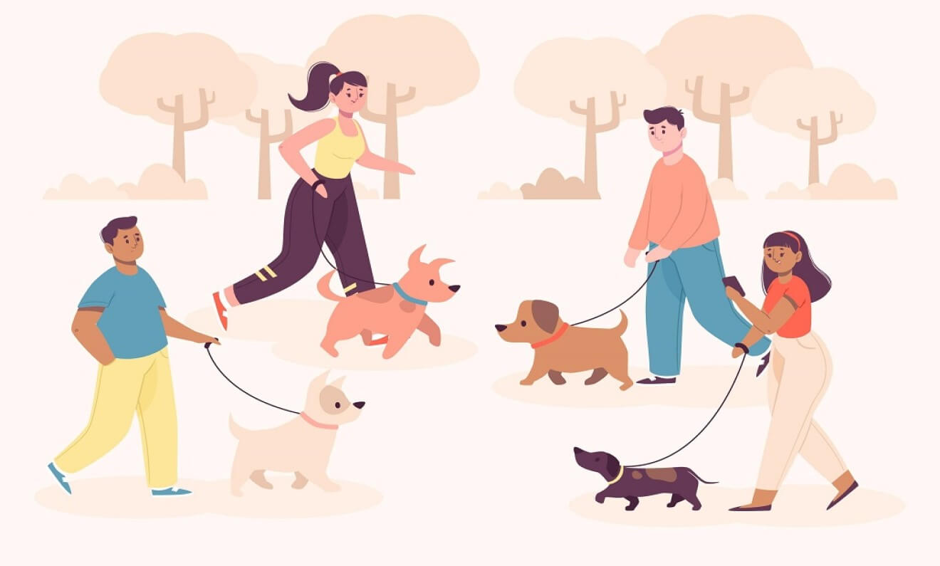 Should You Take Your Dog to a Dog Park?