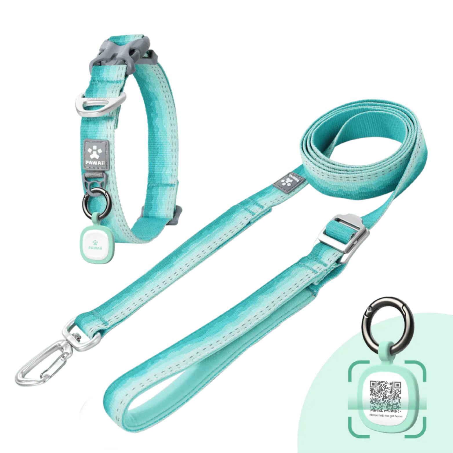 Keepace Dog Leash and Collar Set
