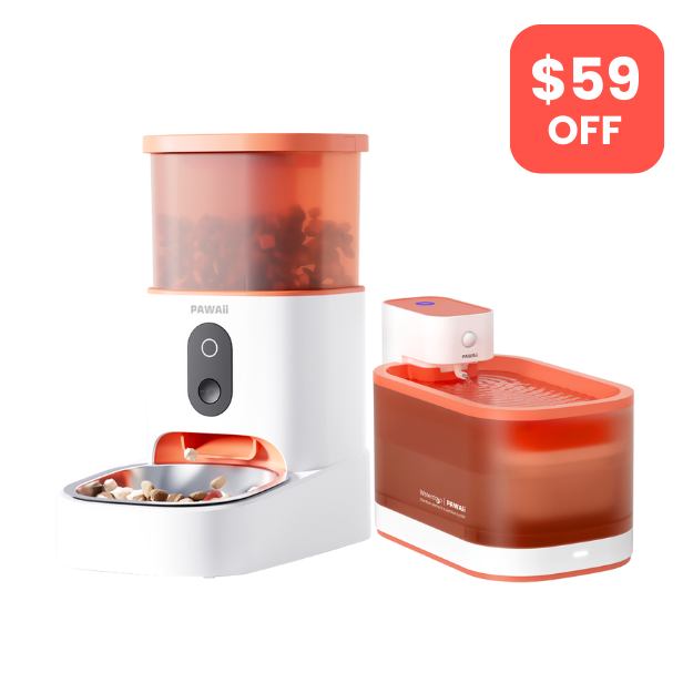 Best sales smart feeder