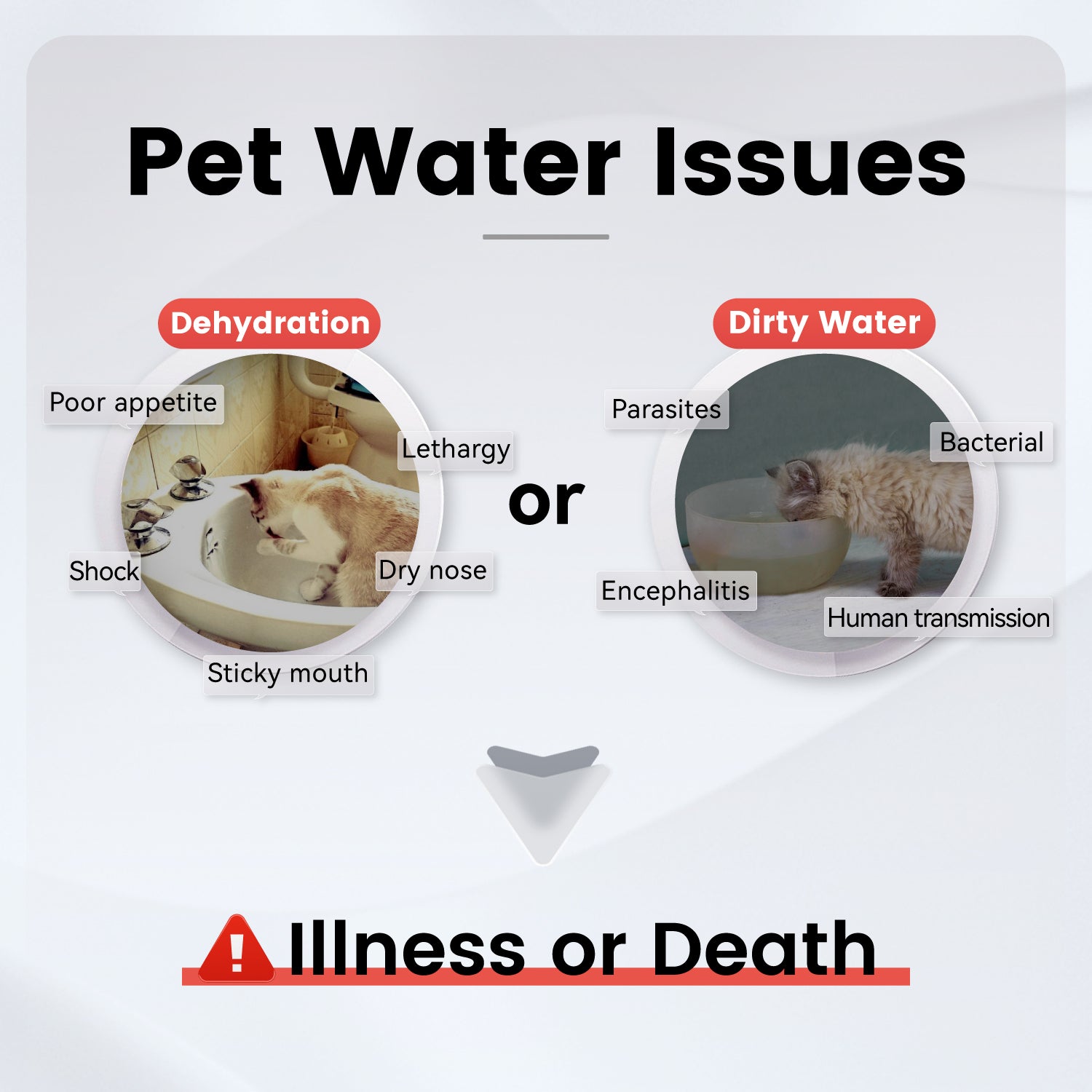 PAWAii Wireless Pet Water Fountain