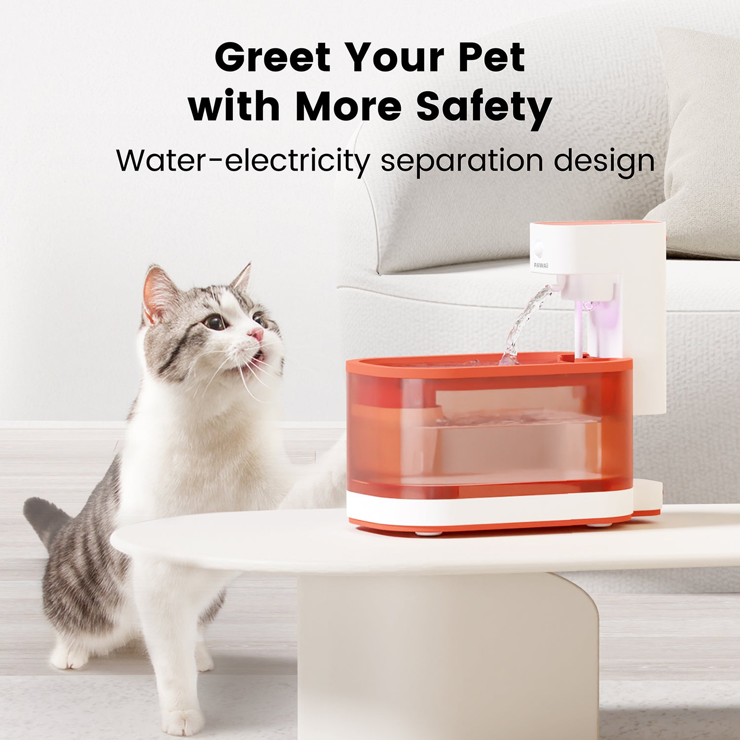 Water Fountain Ample Food Feeder - Pawtisfaction