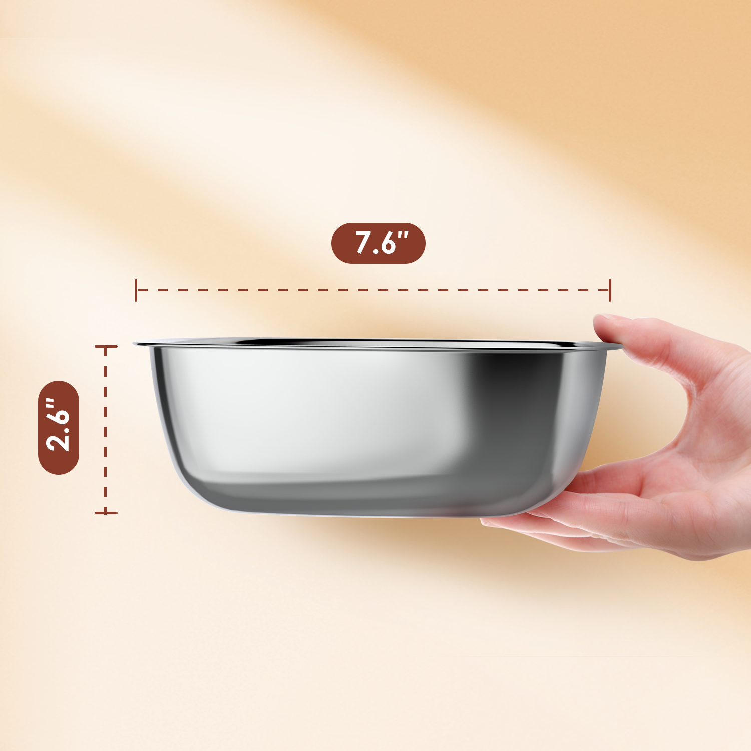Slow Feeder & Stainless-steel Dog Bowl