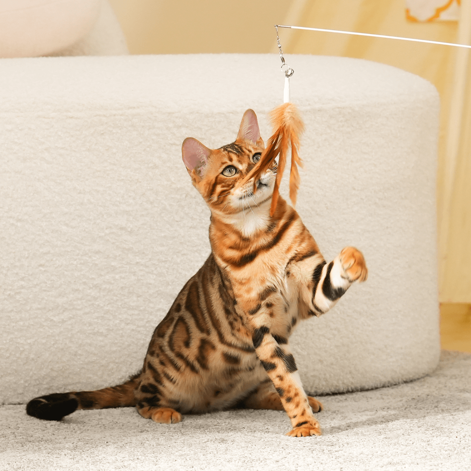 Laser Cat Wand Attachments