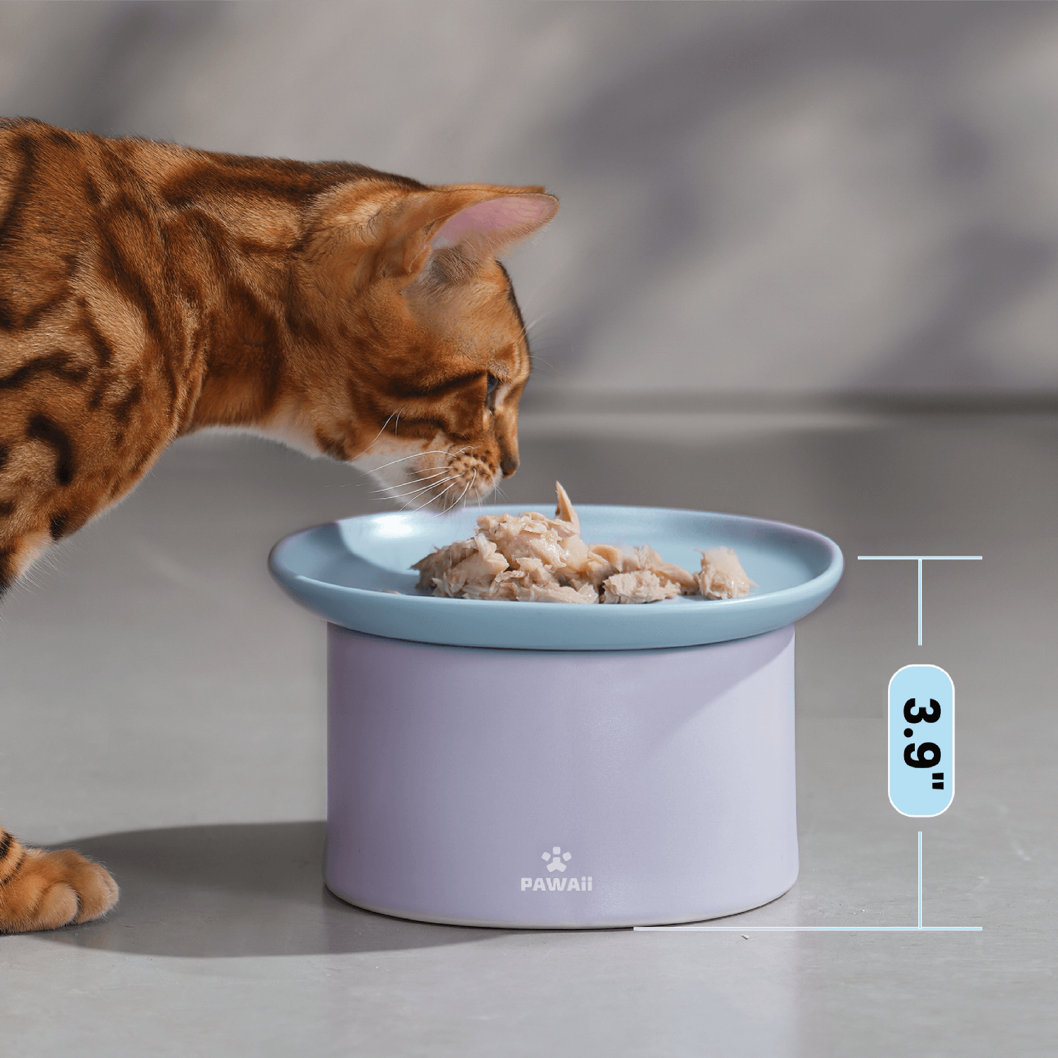  Howise 2 Wide Raised Cat Food Bowl with Silicone Pet Food Mat, Ceramic Elevated Cat Bowls Small Dog Dish Set
