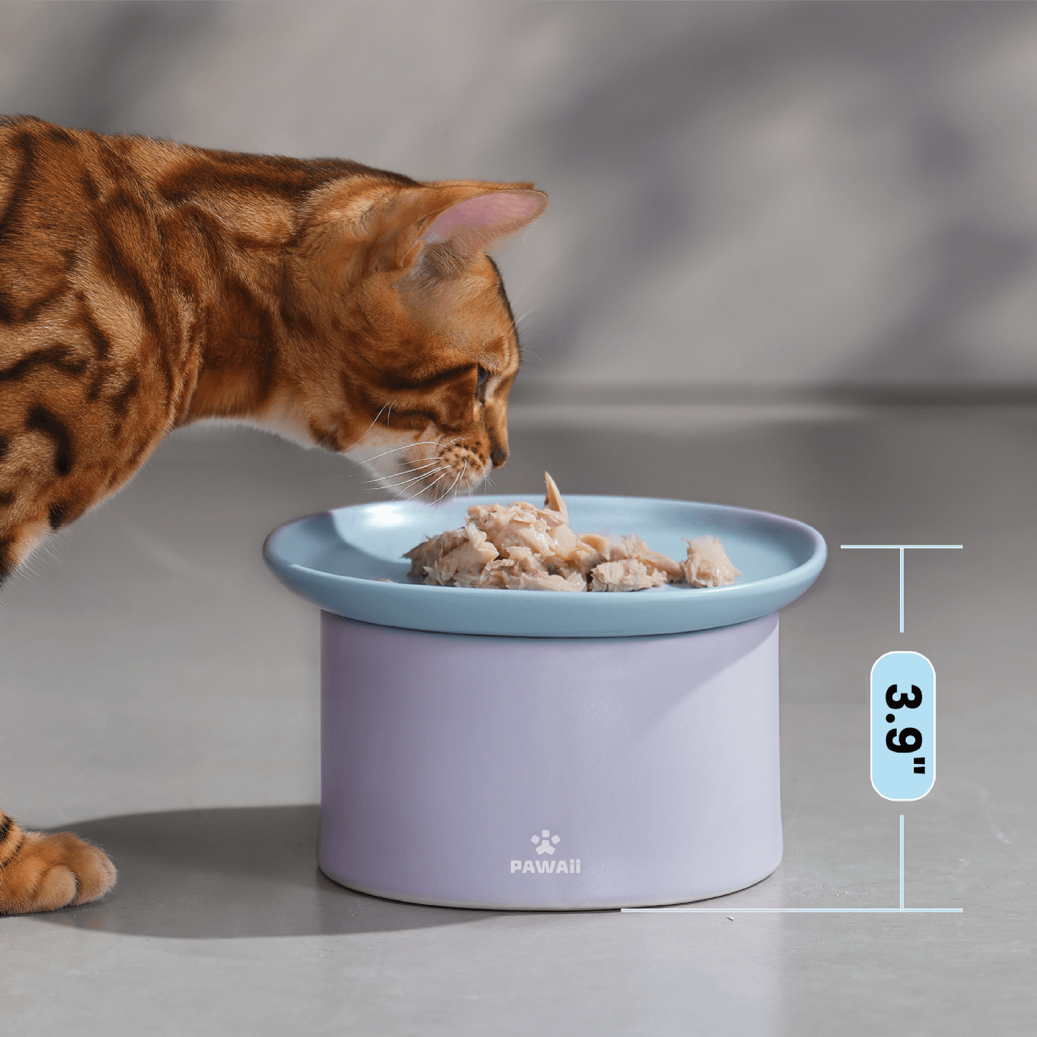 Cat bowl elevated sale