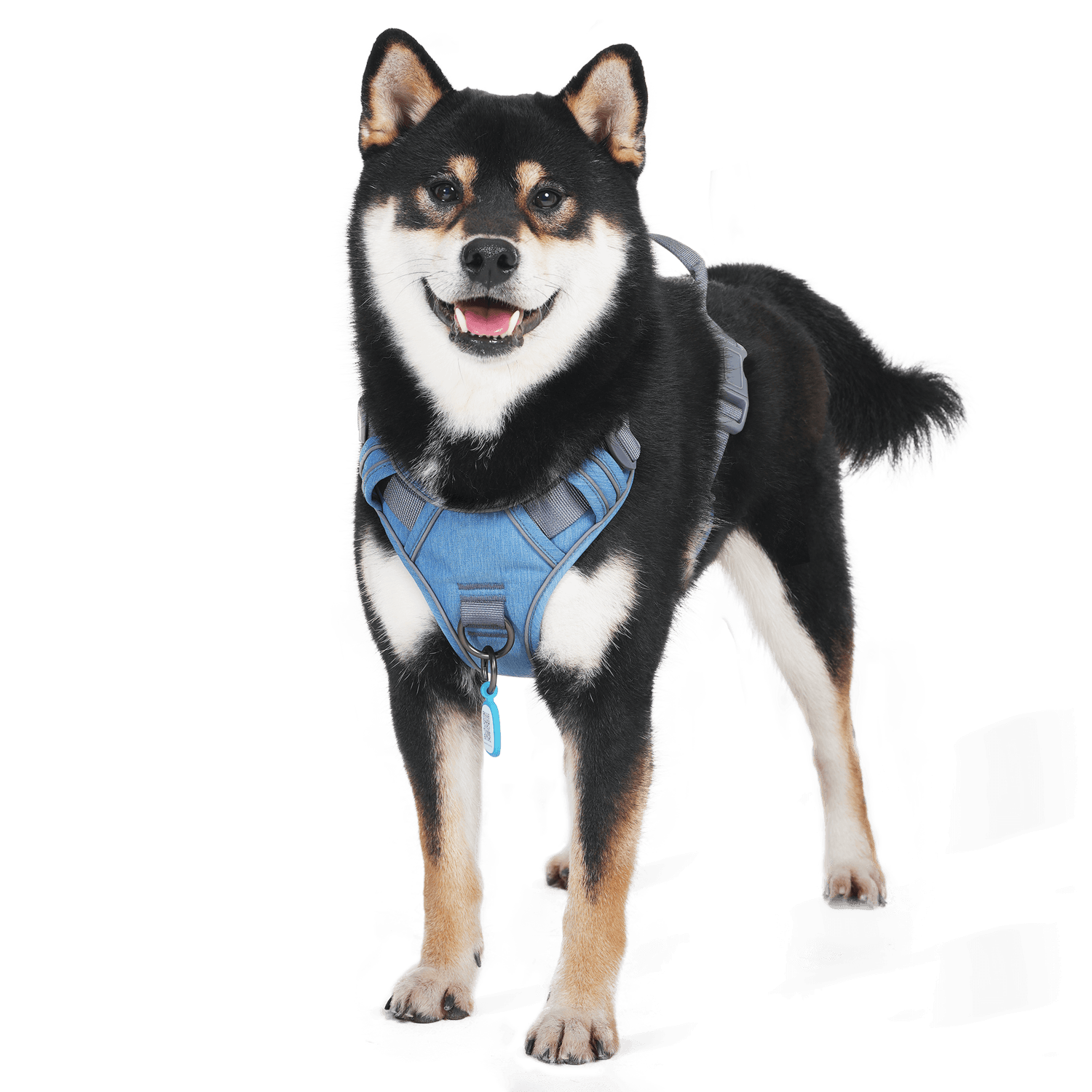 SafeWalk Dog Harness