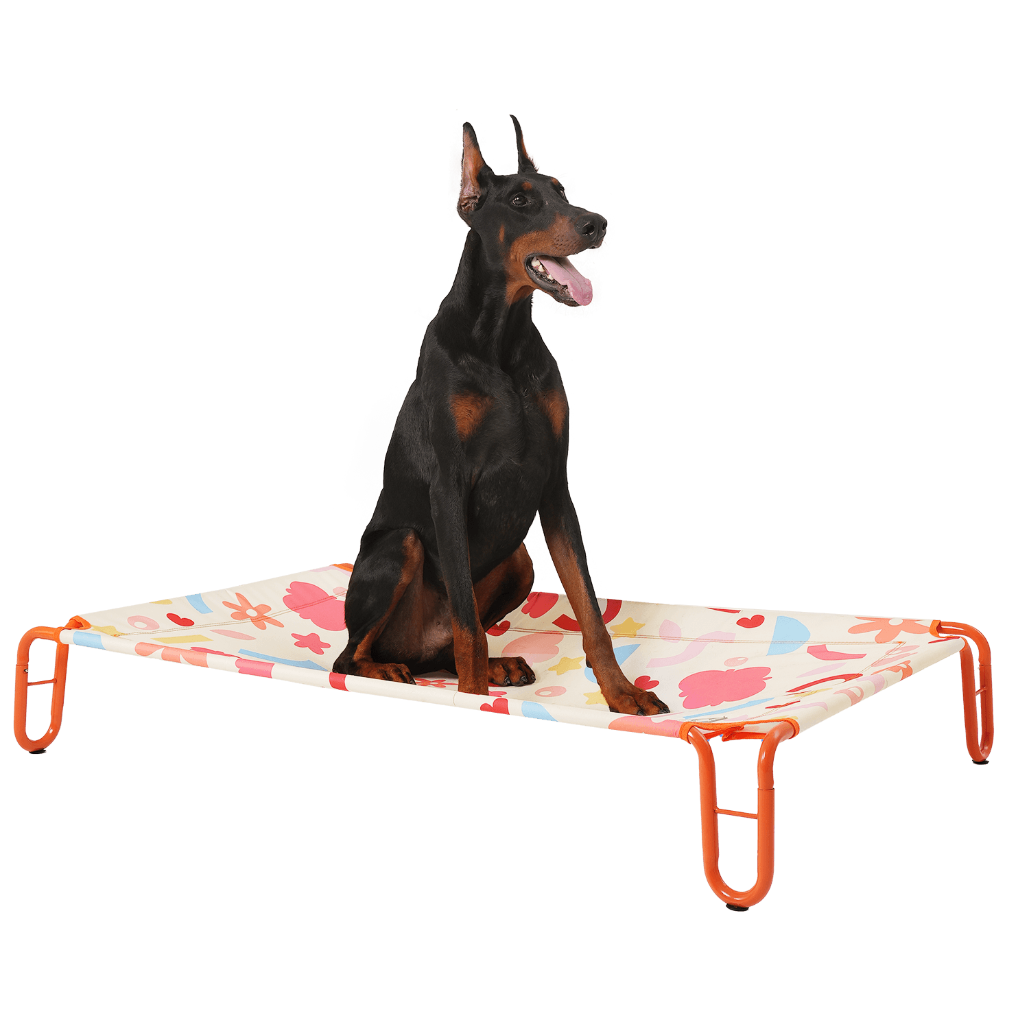 PAWAii Elevated Pet Bed PAWAii pawaii-elevated-pet-bed-pawaii