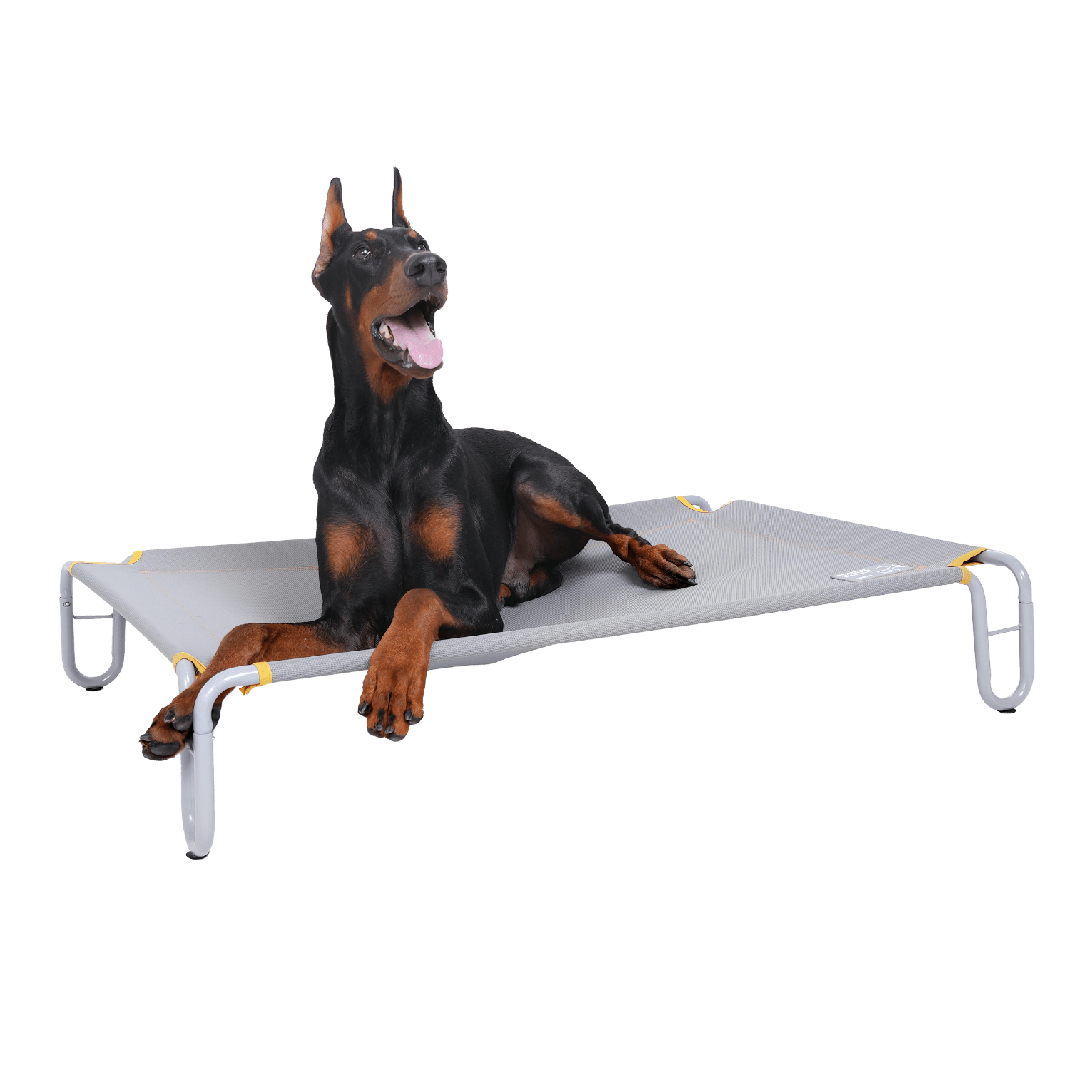 Pawaii Elevated Pet Bed Pawaii L Grey