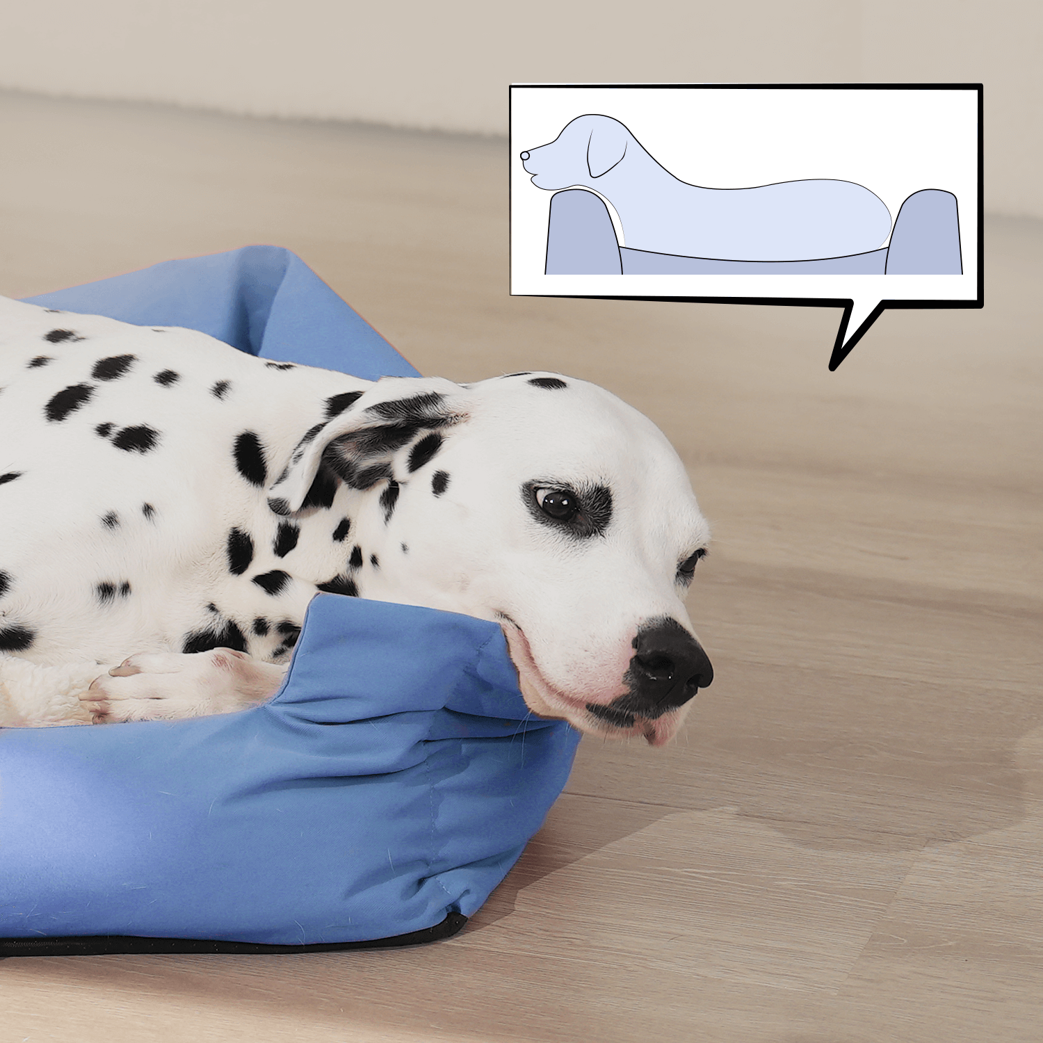 Double-sided 3D Pet Bed