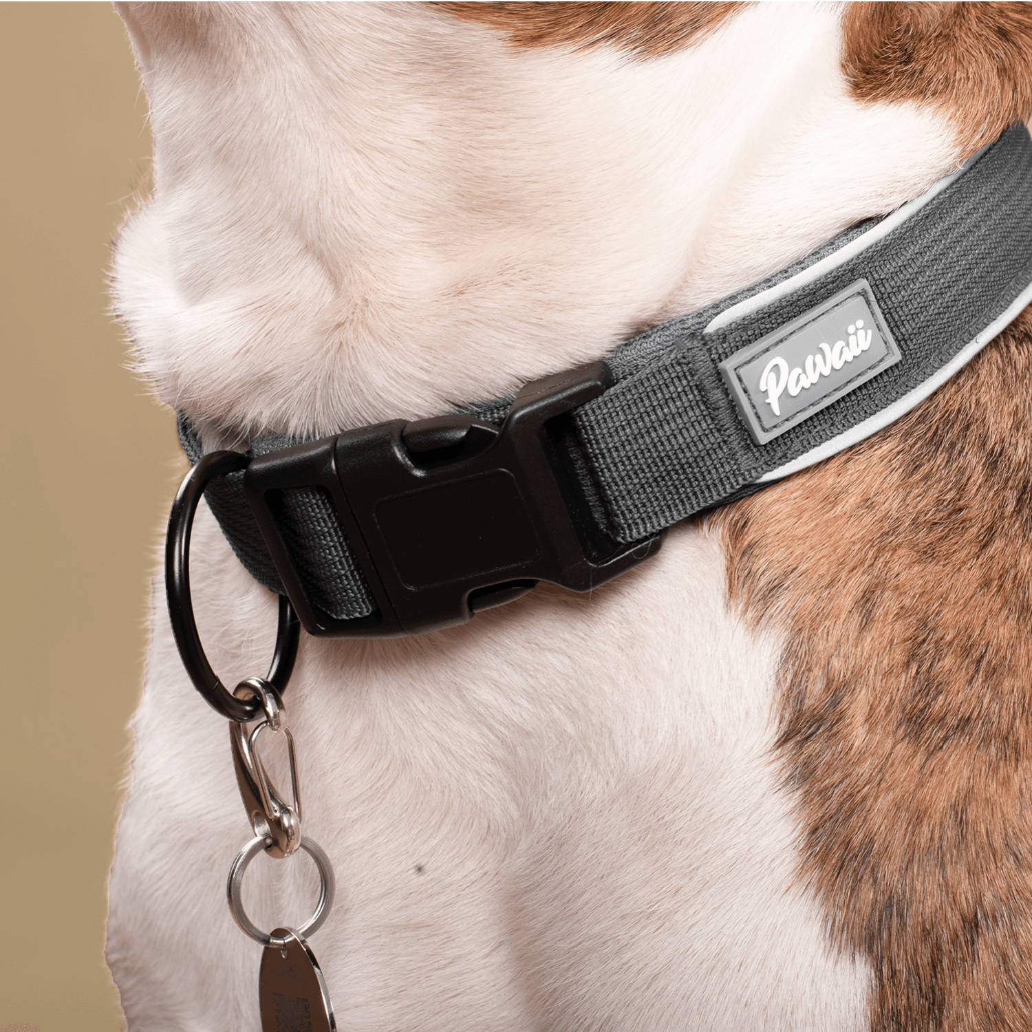 Anodized Aluminum Pet Tag XL Anodized Aluminum Rivet-On Pet ID Tag ...
