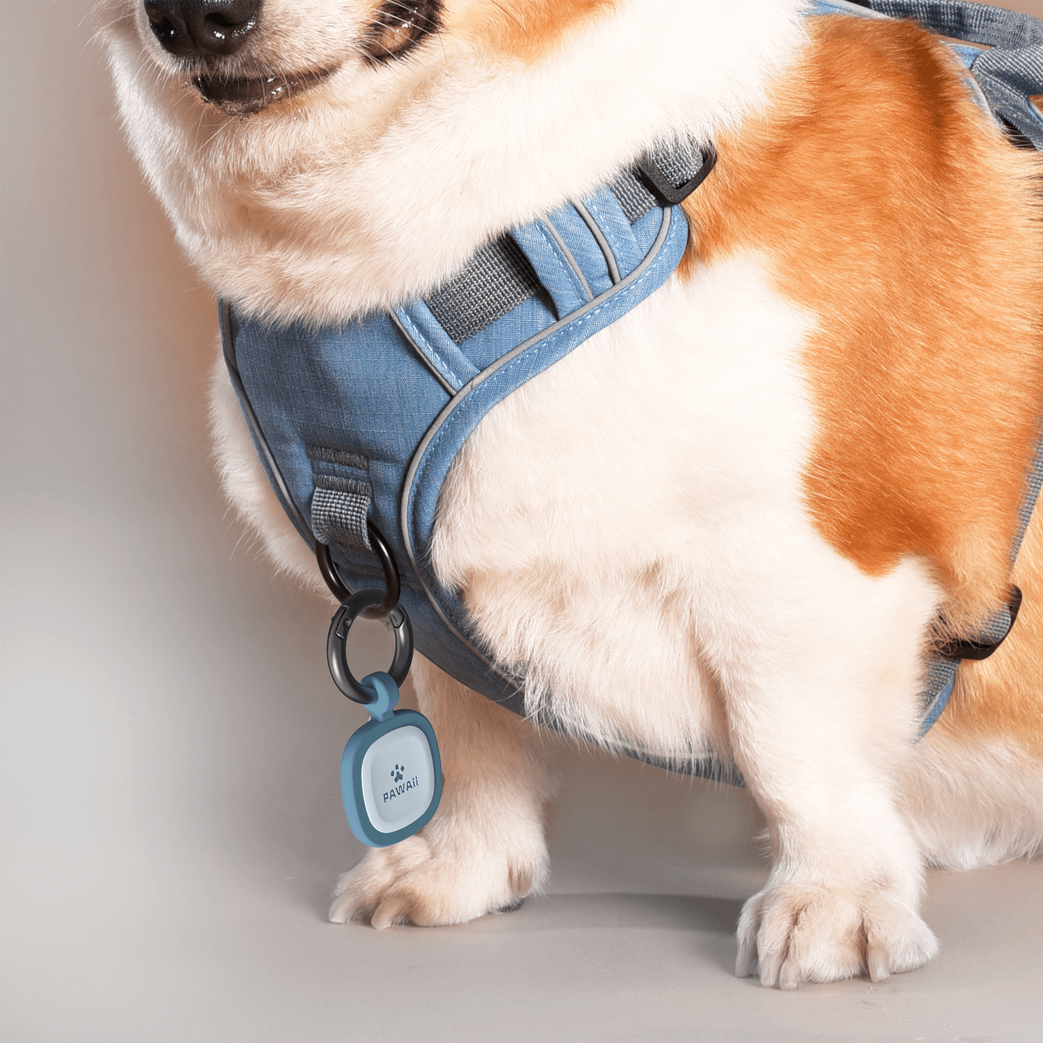 QR Code ID Tag for Pet