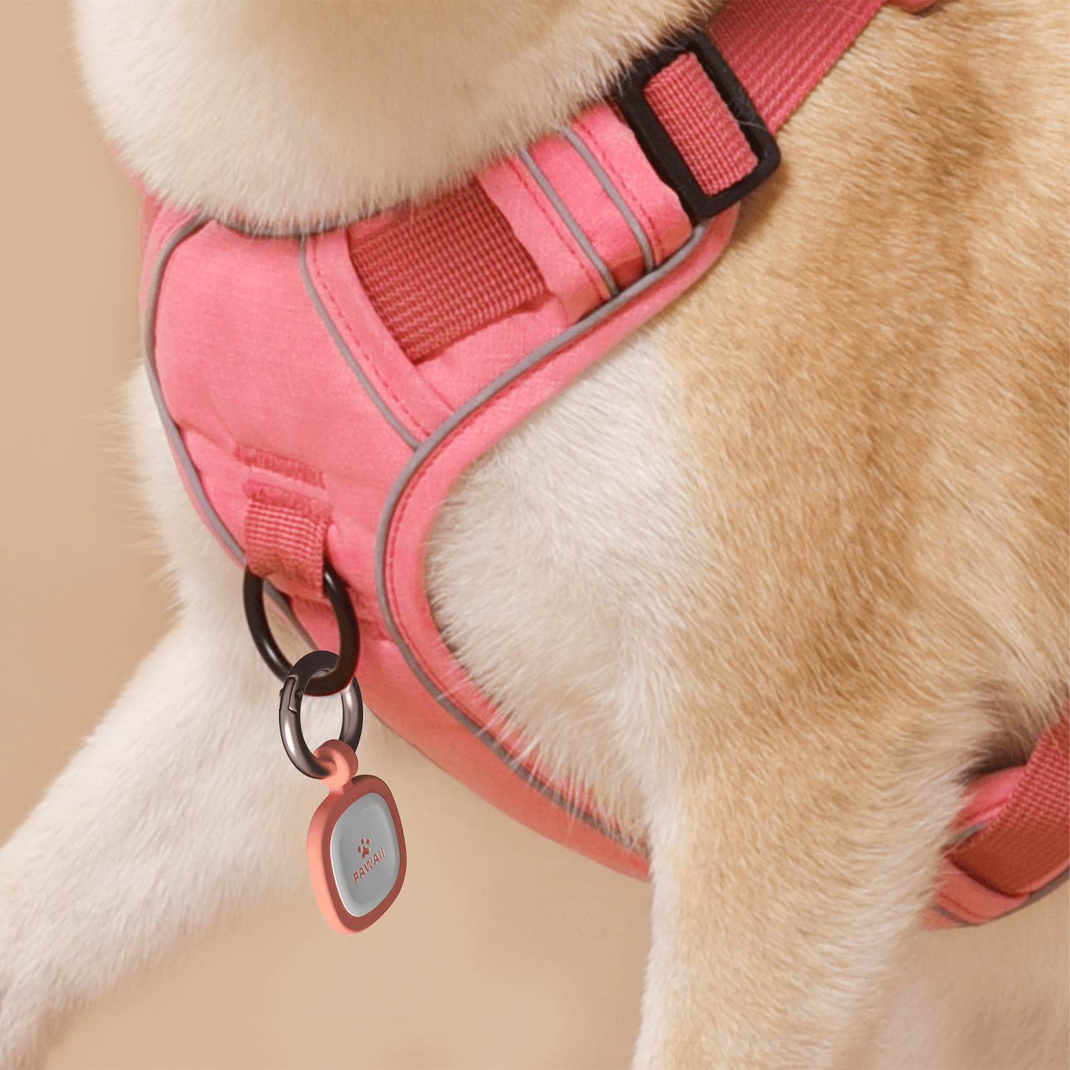 QR Code ID Tag for Pet