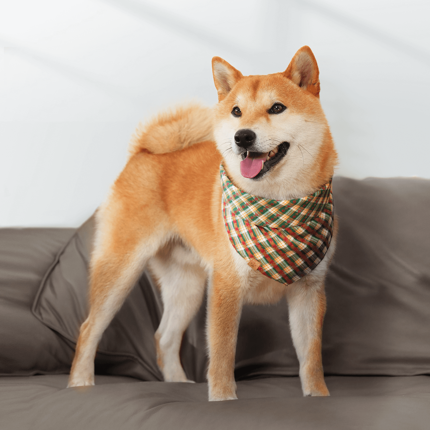 Cardinal Dog Bandana 