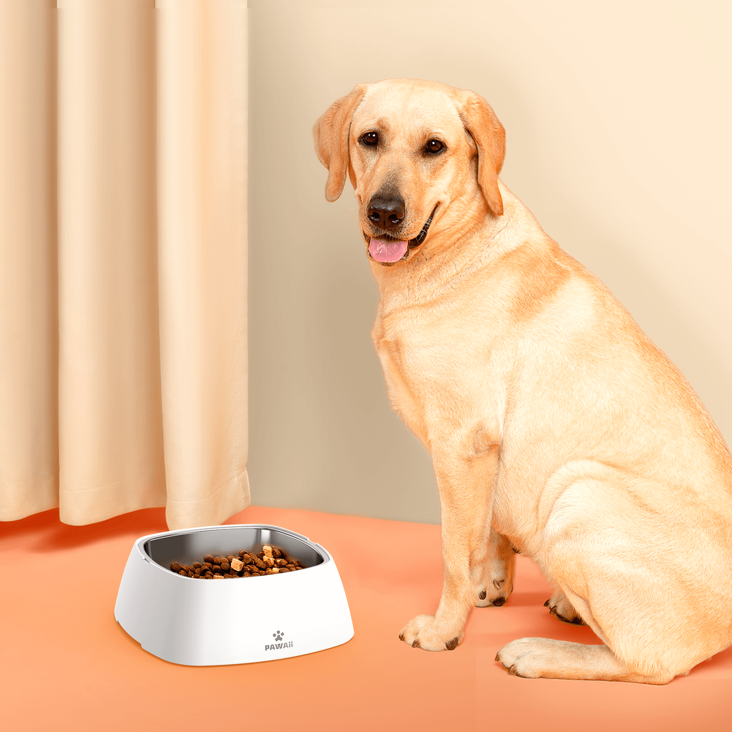 Slow Feeder & Stainless-steel Dog Bowl