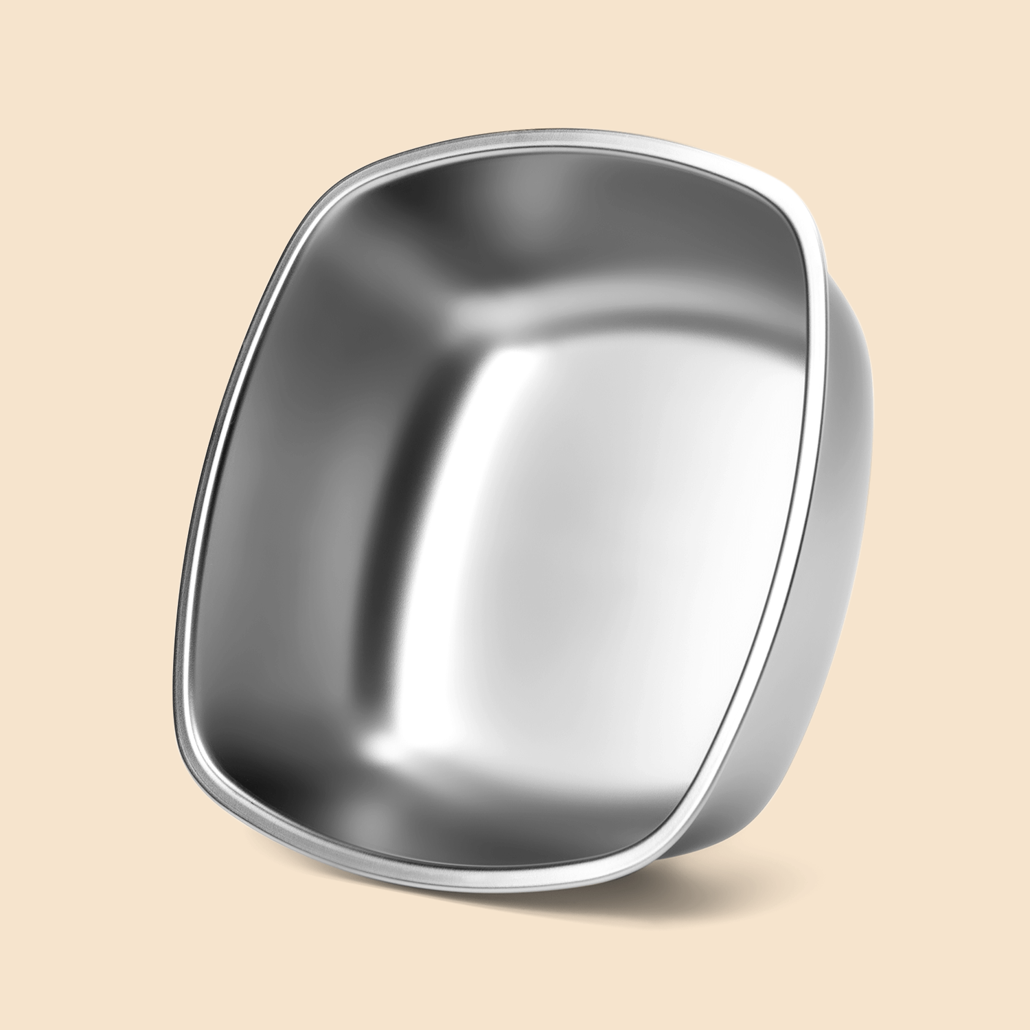 Slow Feeder & Stainless-steel Dog Bowl