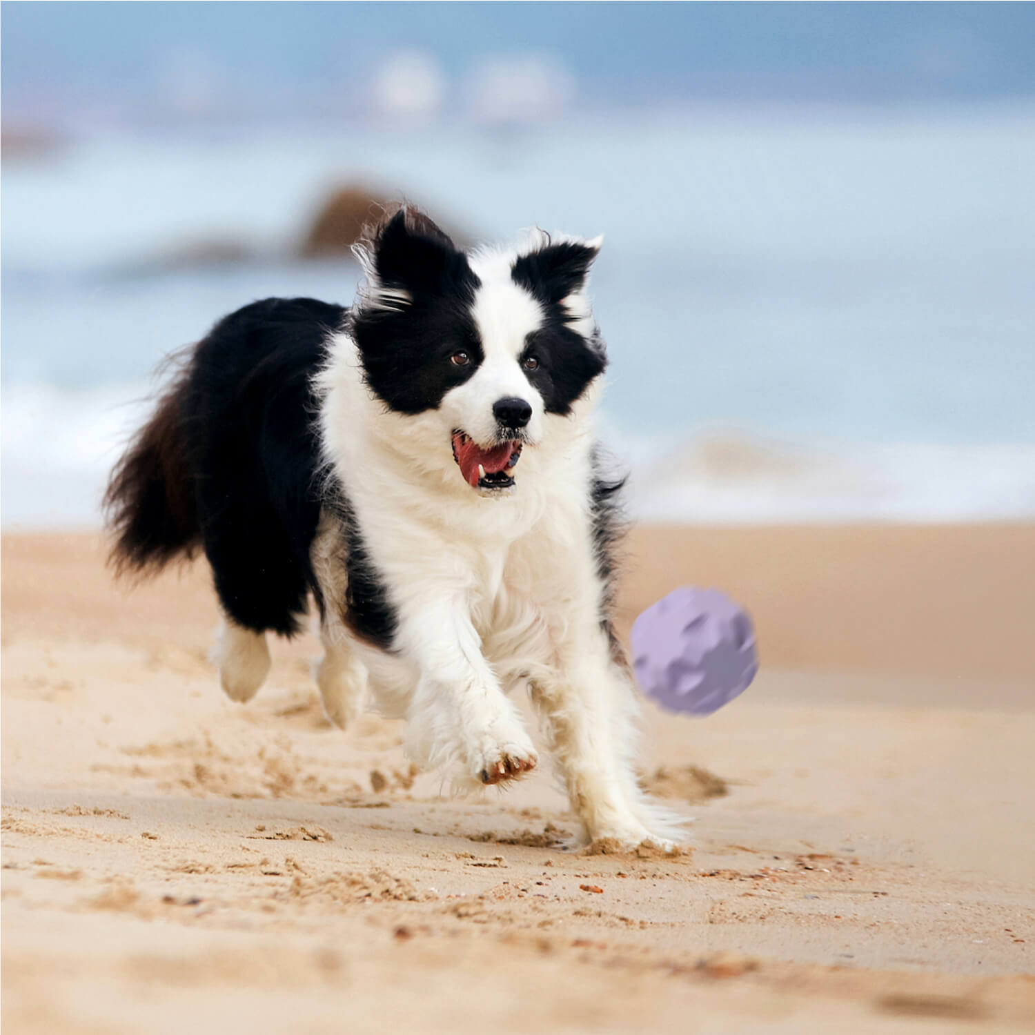Interactive Treat Dispensing Dog Ball