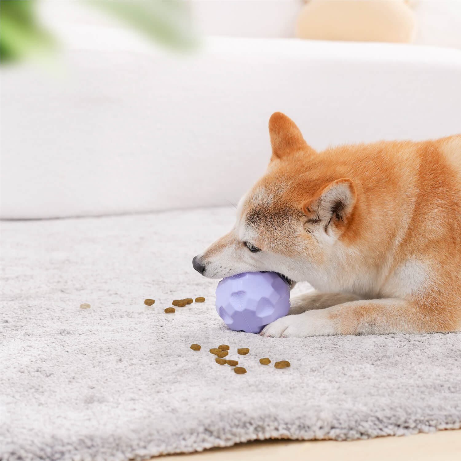 Interactive Treat Dispensing Dog Ball