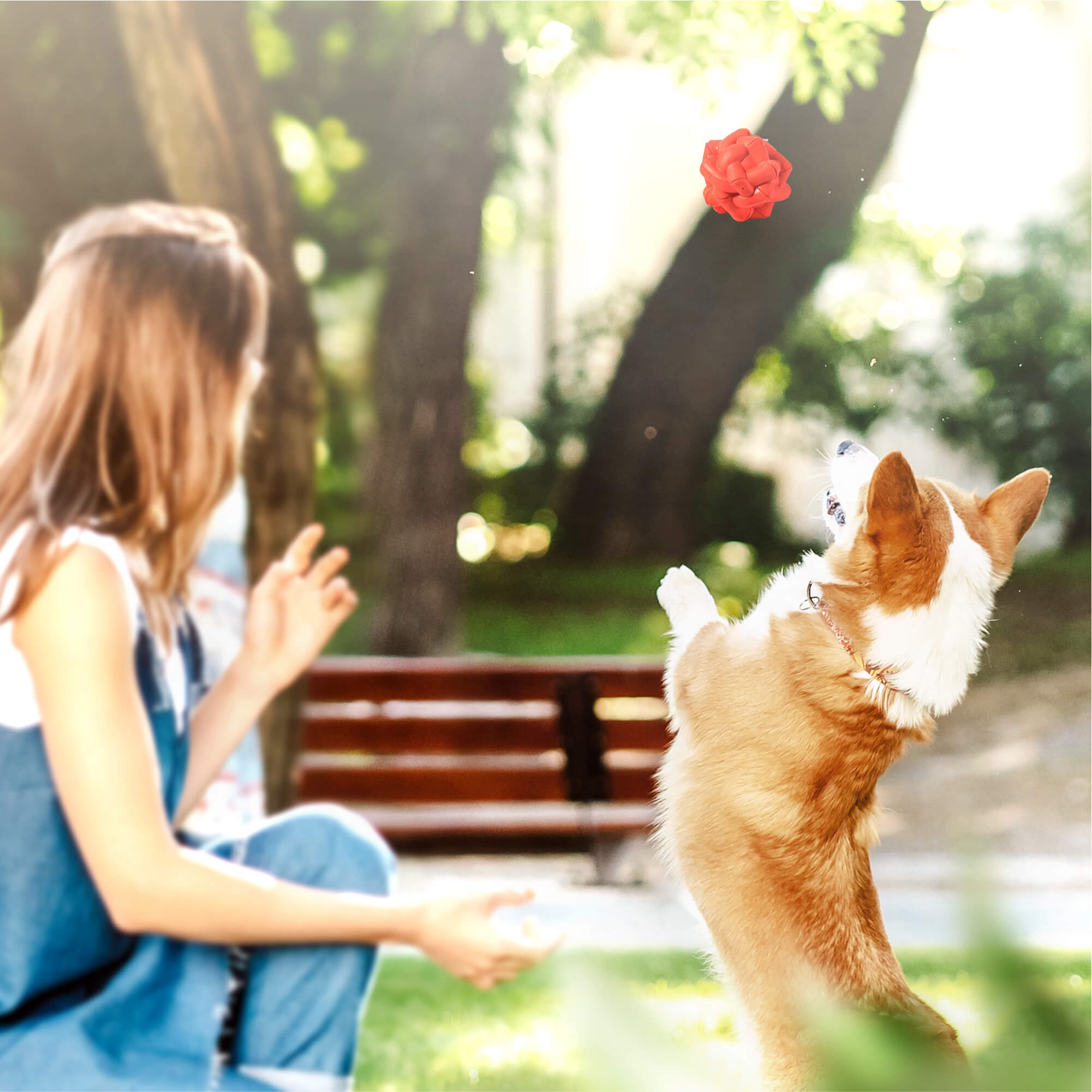 Super Chewer for Small and Medium-sized Dogs