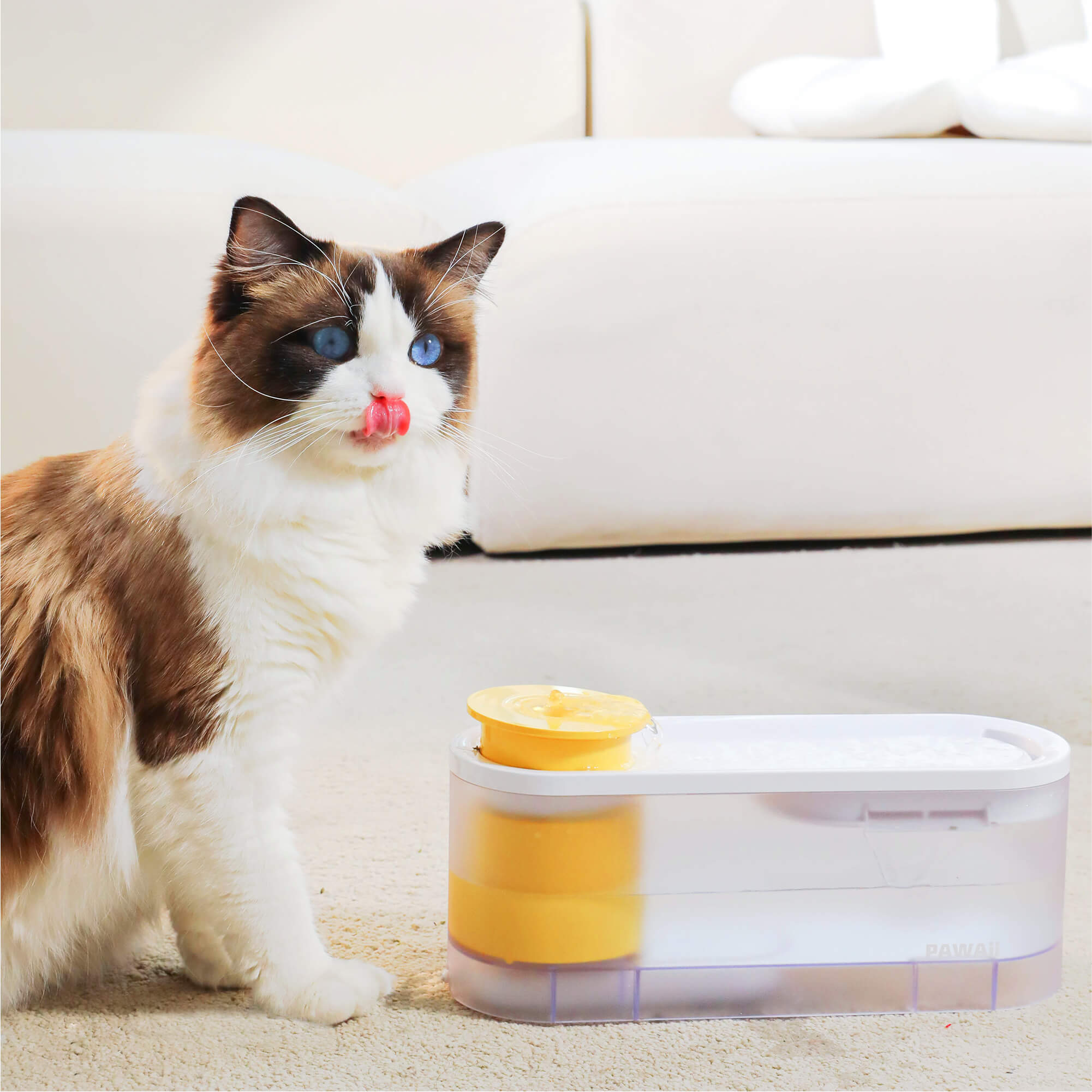 FunFlow2 Wireless Cat Water Fountain Filters