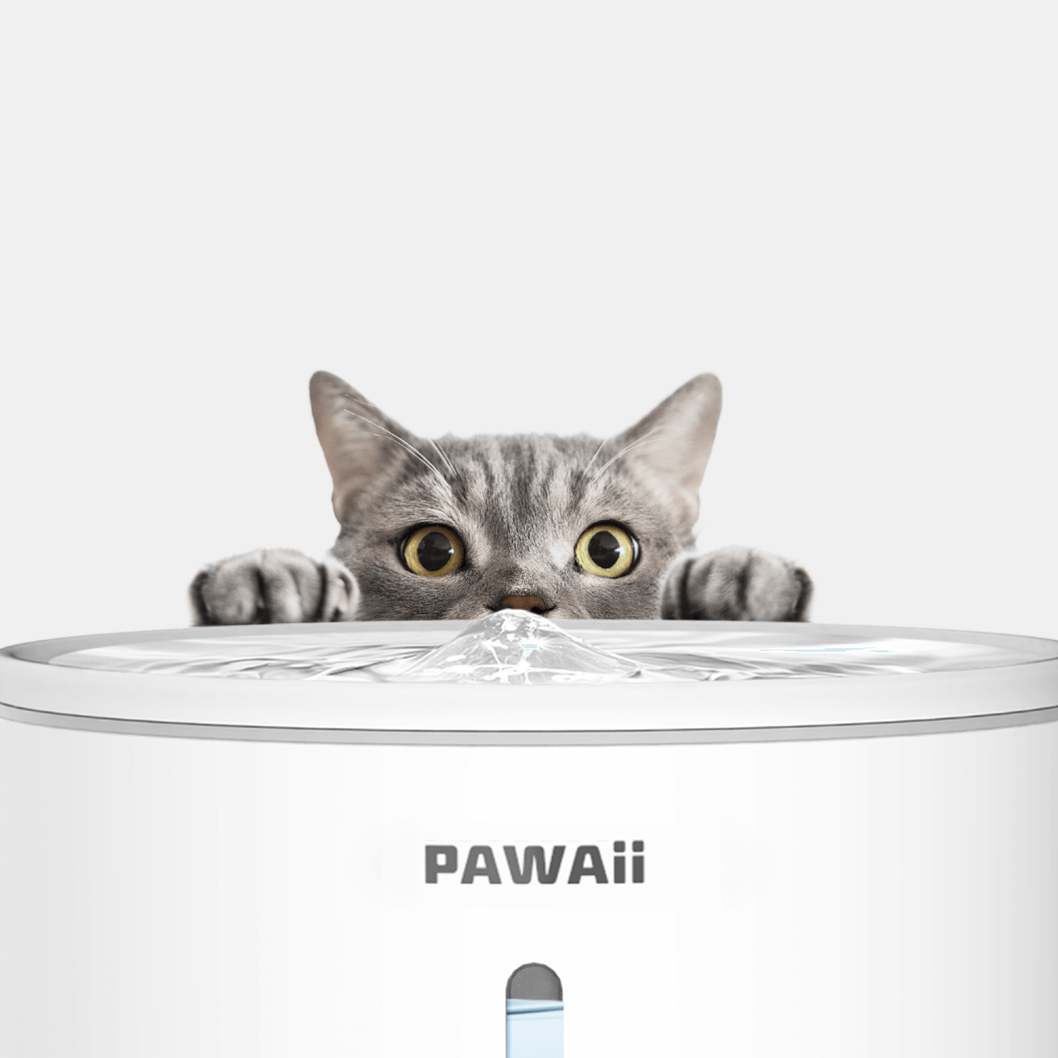Uv pet discount water fountain