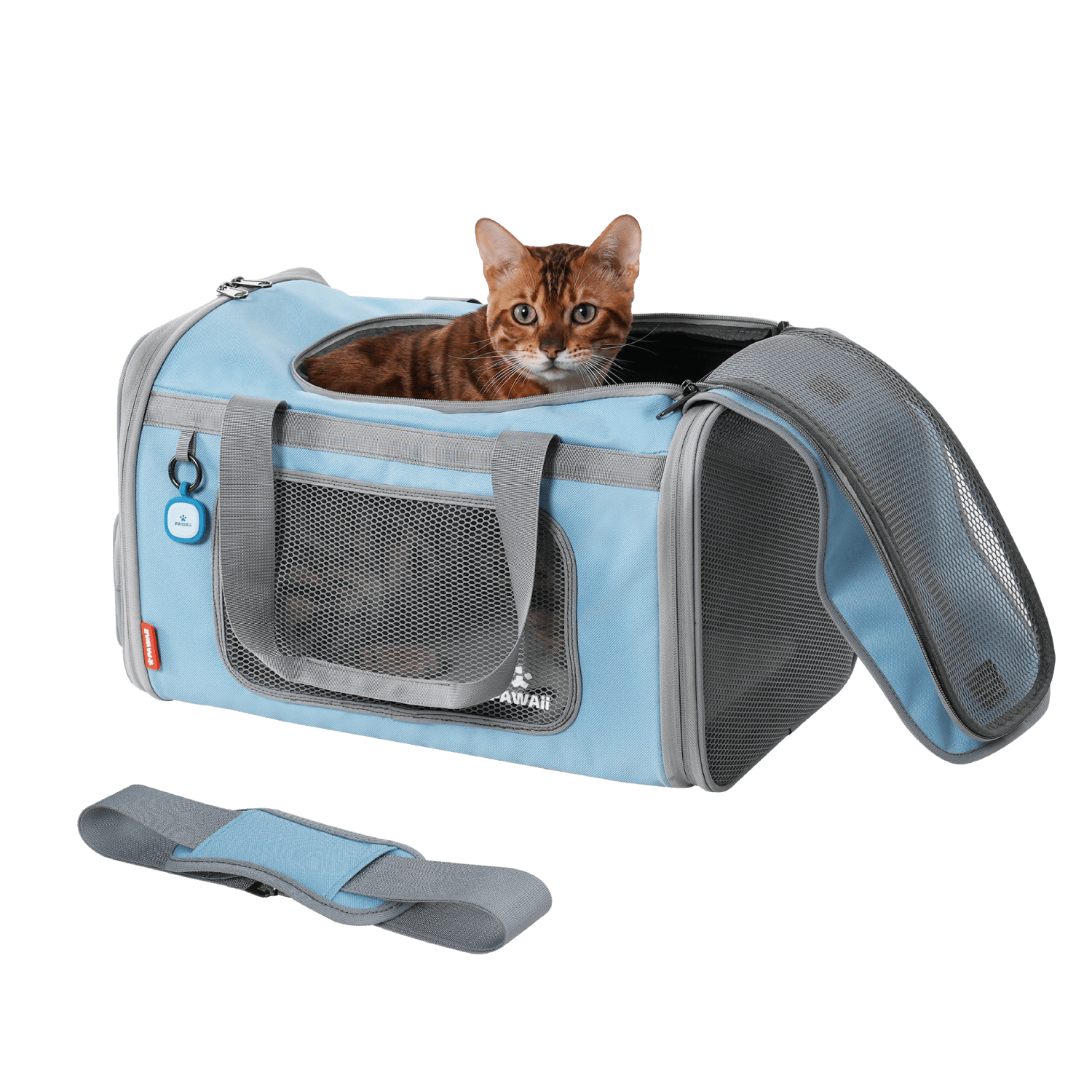 Travel Pet Carrier