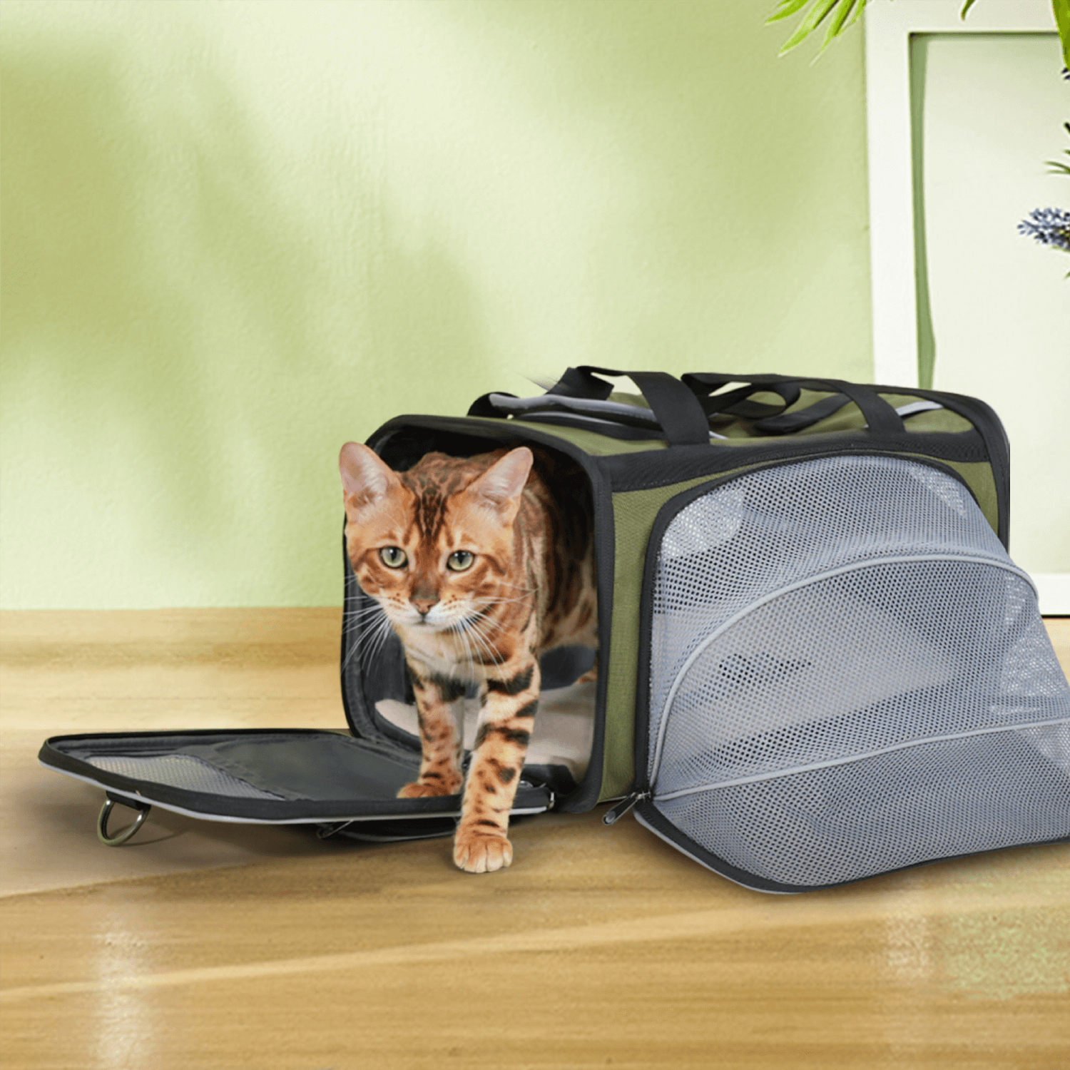Pet travel bag online