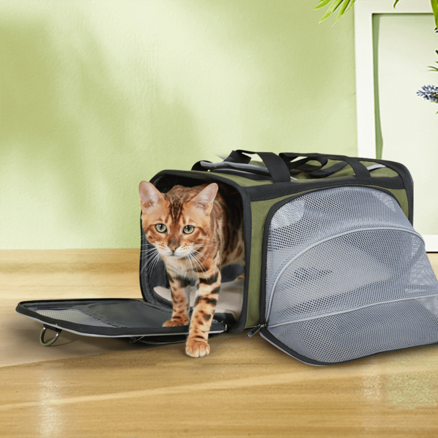 Prodigen Pet Carrier Airline Approved Pet Carrier Dog Carriers for Small Dogs, Cat Carriers for Medium Cats Small Cats, Small
