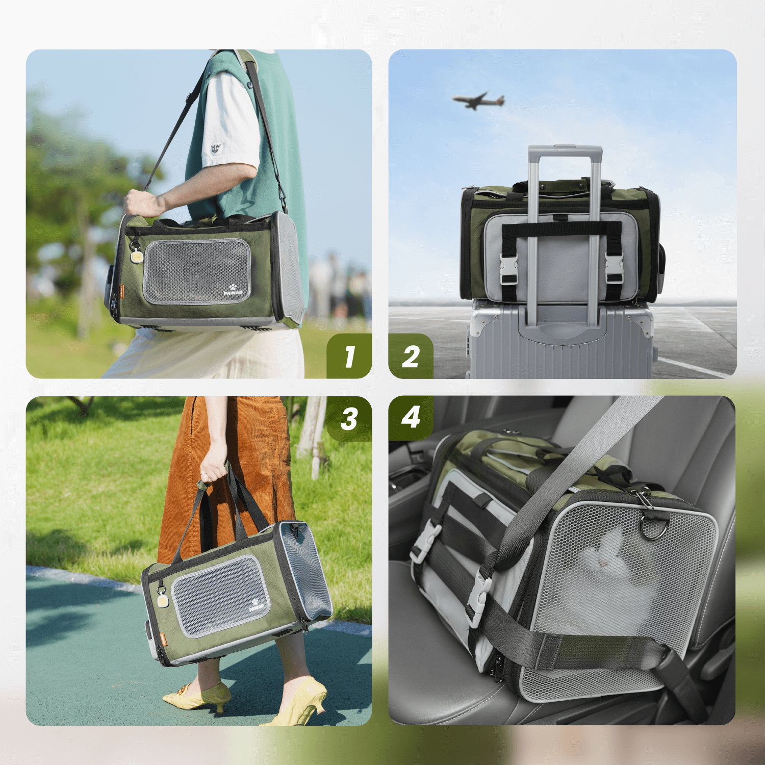 Travel Pet Carrier